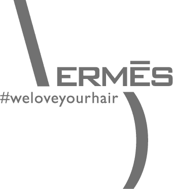 logo ermeshair 1